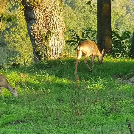 Le Grand Domaine Du Rocher *